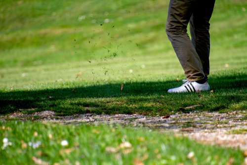 Golf Golfers Tee Sport Grass Nature Golf Course