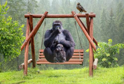 Gorilla Leisure Swing Fantasy Mother And Child