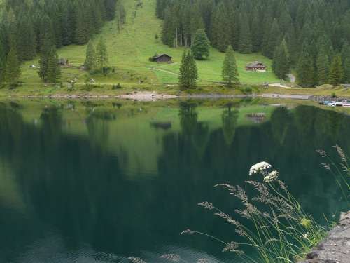 Gosau Lake Dachstein Austria Water Gosausee