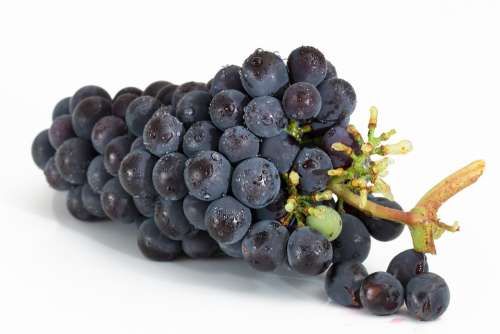 Grapes Bunch Fruit Viticulture Sweet Red Ripe