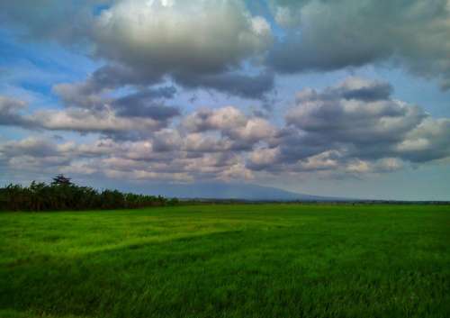 Green Cloud Nature Blue View