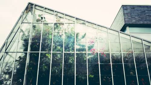 Greenhouse Conservatory Gardening Glasshouse Botany