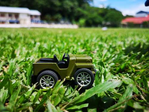 Greens Toy Car Field