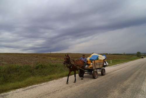 Gypsy Turkey Horse Carts Landscape Melancholy