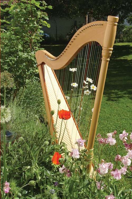 Harp Music Musical Instrument Instrument
