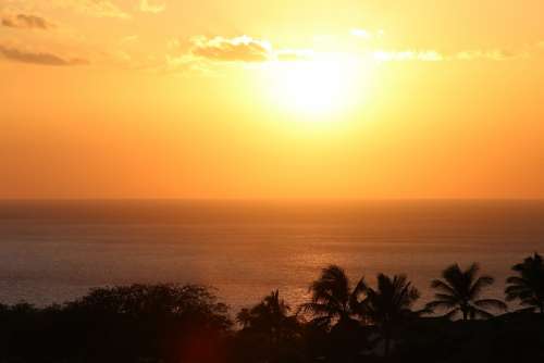 Hawaii Palm Sunset Beach Tropical Island Sky