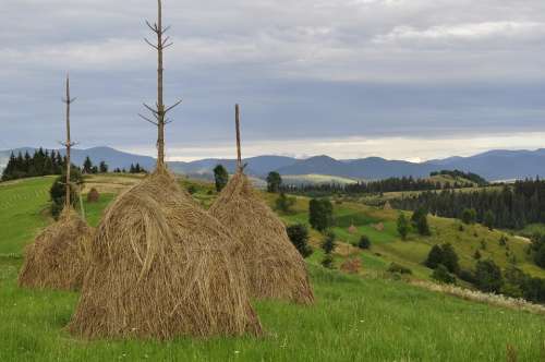 Hay Summer The Carpathians Straw In The Summer Of