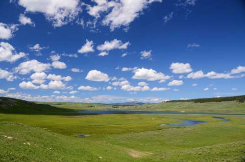 Hayden Valley Yellowstone Landscape Green Sky Blue