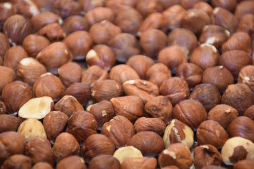 Hazelnut Peanut Nut Filbert Cob Nut Hazel Brown