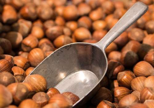 Hazelnuts Nuts Brown Shells Macro