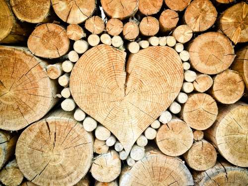 Heart Wood Logs Combs Thread Cutting Wood Pile