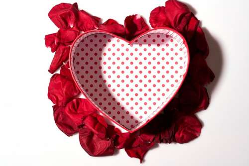 Heart Valentine'S Day Red Love In Love Valentine