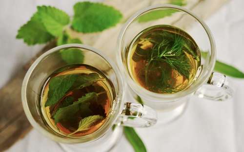 Herbal Tea Herbs Tee Mint Sage Fennel Flavor