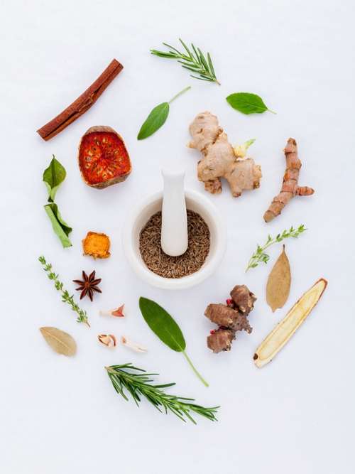 Herbs Natural Pharmaceutical Green Ingredients