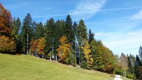 Hike Mountains Landscape Mountain Nature Forest