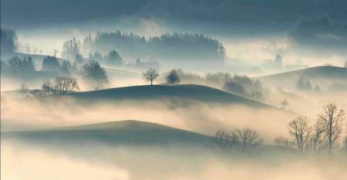 Hilly Countryside Highland Trees Plant Nature Fog