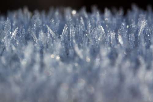 Hoarfrost Macro Cold Winter Frozen Crystals