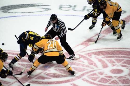 Hockey Ice Hockey Player Players Sport Sports