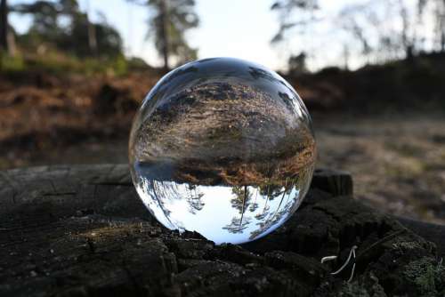 Hoge Veluwe Nature Glass Ball Hiking Landscape