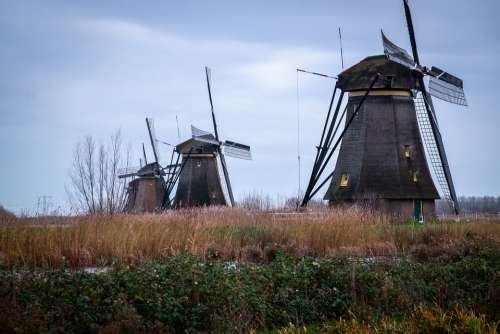 Holland Kinderdijk Landscape Netherlands Molina