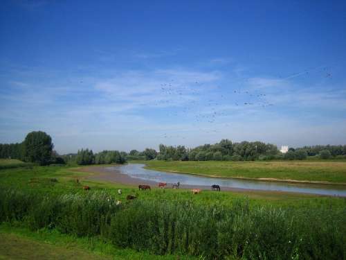 Holland River Landscape Idyll
