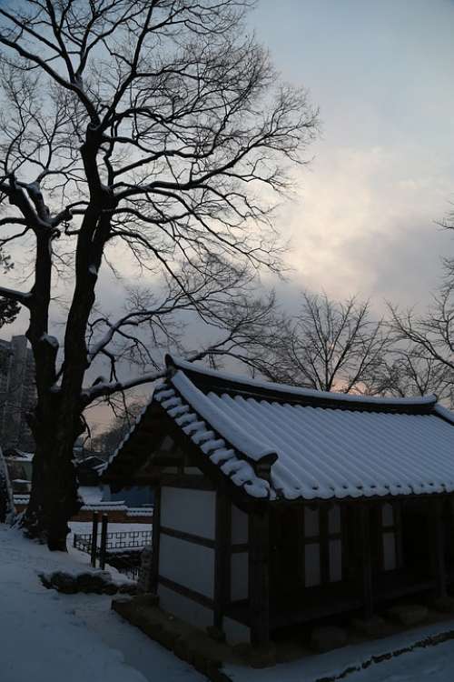 Home Snow Winter Landscape Scenery