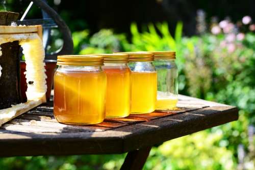 Honey Jars Harvest Bees Frame Garden Crop Golden