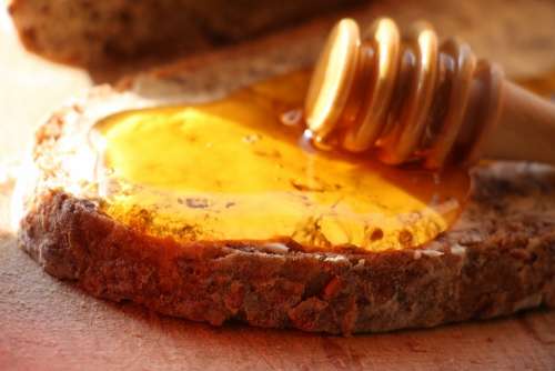 Honey Bread Spoon Bio Nature Healthy Vitamins
