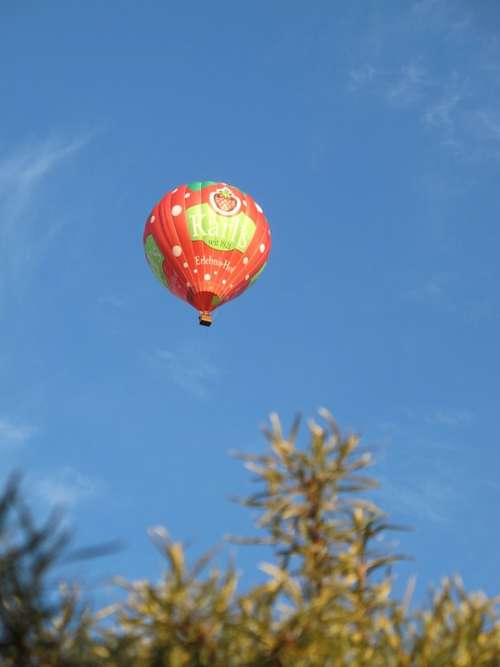 Hot Air Balloon Balloon Flight Sky Flying Float