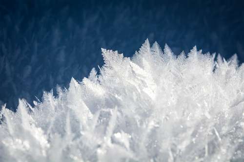 Ice Eiskristalle Snow Iced Crystals Winter Frozen