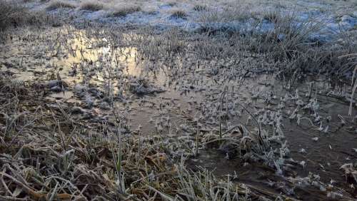 Ice Winter Morning Frost Eiskristalle Nature