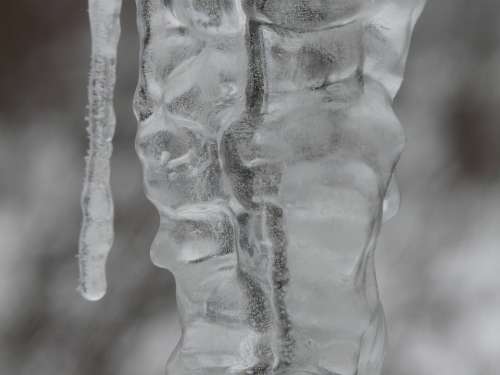 Icicle Ice Winter Frozen Cold Icy