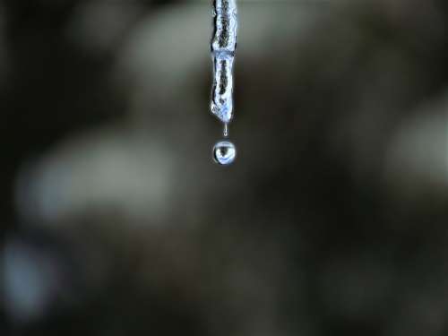 Icicle Dripping Dripping Icicle Icicle Water Ice