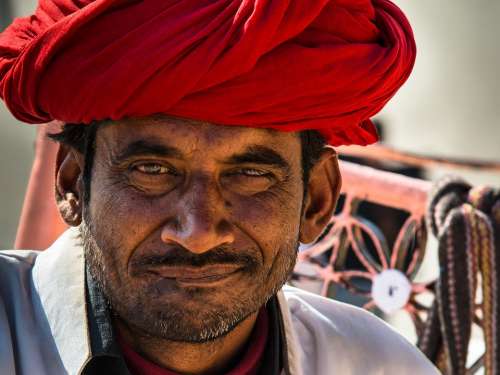 Indians Turban Portrait Man Human Head Face