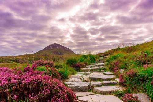 Ireland National Park Hiking Away Steinweg Stones