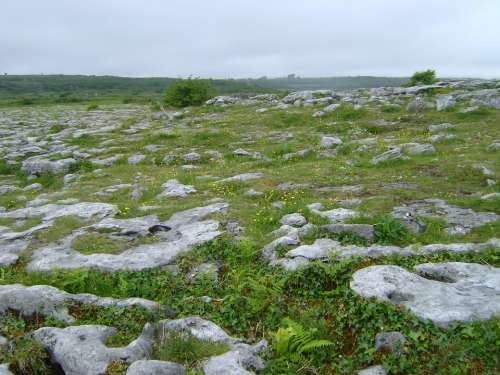 Ireland Rocky Ground Rocks Grass