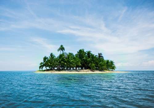 Island Vacations Caribbean Palm Trees Sand Sea