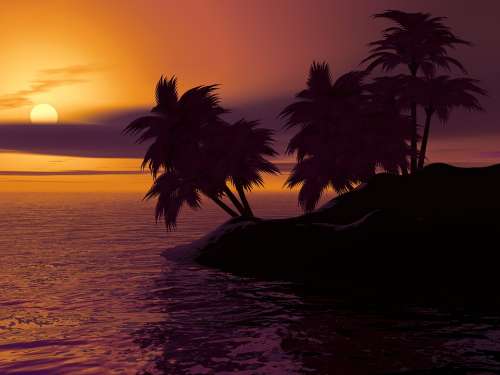 Island Palm Sunset Sunrise Caribbean Summer Sky