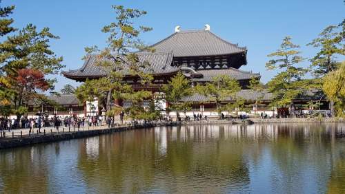 Japan Todaiji Buddhist Temple Sunshine Reflection
