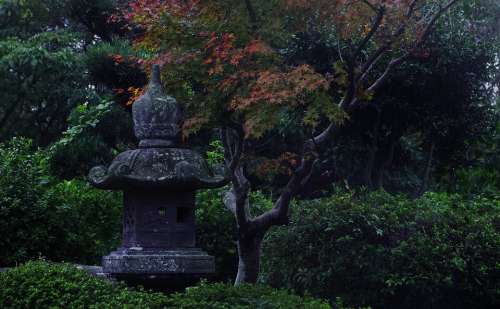 Japan Landscape Autumnal Leaves Green Natural