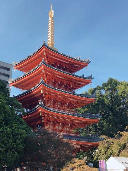 Japan Fukuoka Total 岡 The Company Tochoji Temple