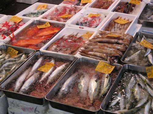 Japan Tokyo Fish Market Tsukiji Tourist