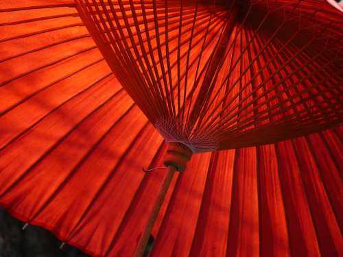 Japan Umbrella Red Traditional Tradition Asian