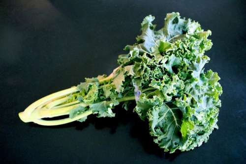 Kale Kale Bunch Kale Leaves Kale Greens Greens
