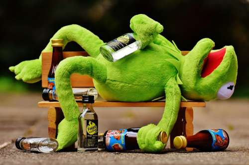 Kermit Frog Drink Alcohol Drunk Bank Rest Sit