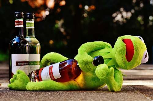 Kermit Frog Wine Drink Alcohol Drunk Rest Sit
