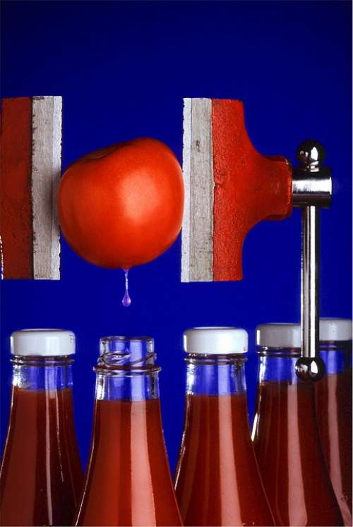 Ketchup Ingredient Tomato Sauce Condiment Catsup