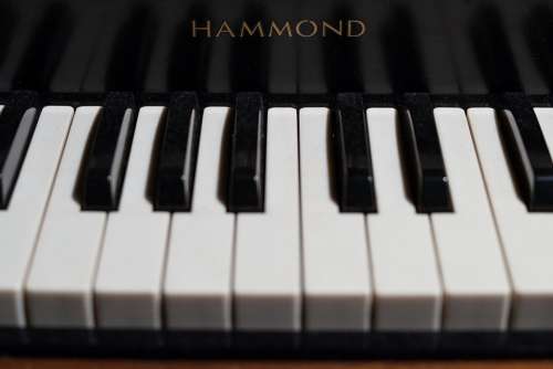 Keys Piano Organ Black White Keyboard Hammond