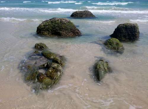 Kirra Beach Rocks Beach Ocean Moss Coast