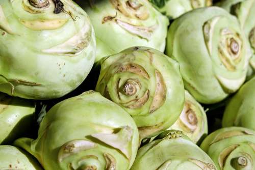 Kohlrabi Vegetables Cabbage Vegetable Plant Food